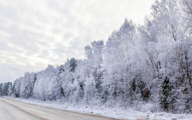 Road in the winter forest. White trees covered with snow and frost. The sky is in the clouds. Beautiful new year landscape