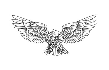 Drawing of an attacking eagle vector illustration