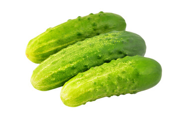 Green cucumber gherkin
