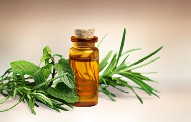 The fresh herbal and essential oil in a glass bottle