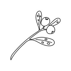 Christmas mistletoe or kisses branch. Xmas home decoration. Element New Year decor and comfort. Isolated vector object on a white background in doodle style