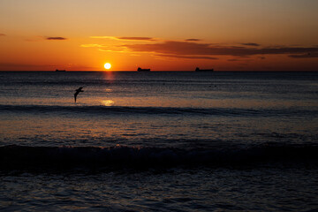 Waves at sunset, the Cold sea in the autumn