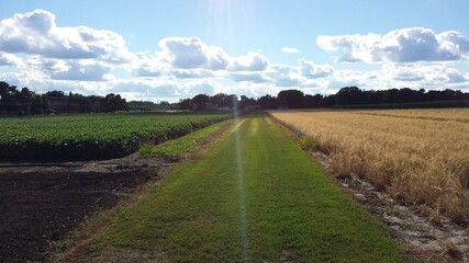 Open landscape agriculture field