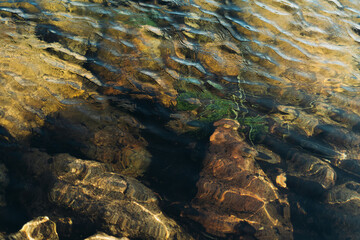 View of ripples on water surface