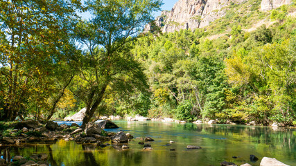 Rio entre bosque verde con montañas alrededor