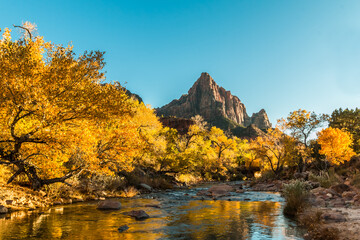 The Watchman and Fall Color Reflected on The Virgin River  at Sunset, Zion National Park, Utah, USA