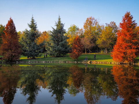autumn in the park