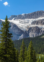 Jasper National Park, Canada scenic of mountains, trees and glaciers.