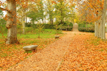autumn leaves in the park with stone benches full of fallen leaves, red orange leaves, 