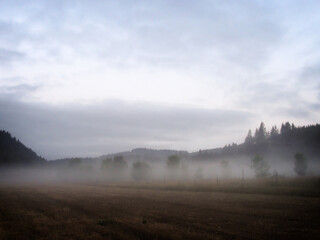 Oregon summer foggy dawn and fenceline