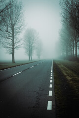 Fog on the empty road