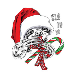 Adorable smiling sloth in a red Santa's hat with a lollipop. Slo Ho Ho - lettering quote. Christmas and New year card, Humor composition, hand drawn style print. Vector illustration. © Afishka