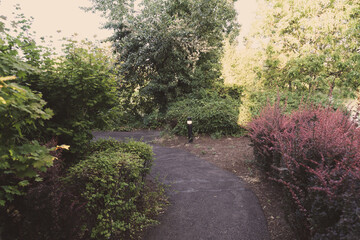Paved hiking trail through a garden, taken in Corvallis, Oregon during summer