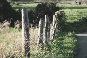 wooden fence in a meadow with a road