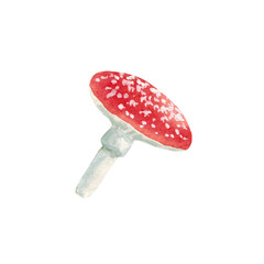 Amanita isolated on white background. Illustration made by hand in watercolor.