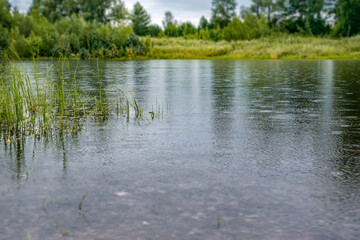 the surface of the lake in raindrops on a cloudy day