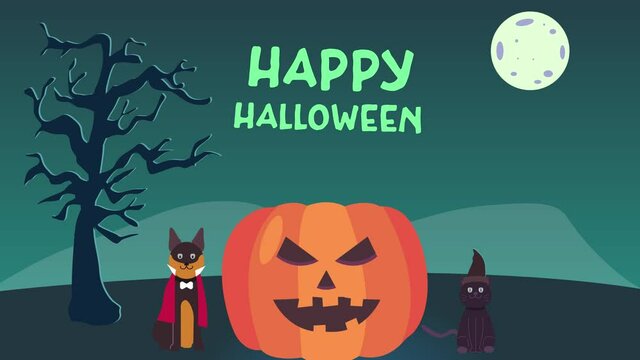 Dog and cat animation wearing halloween costume while standing near a spooky pumpkin with Happy halloween text in night sky. Shot in 4k resolution