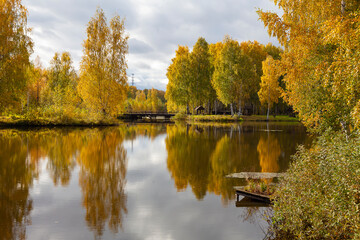 Autumn landscape - trees with yellow foliage grow on the shores of the lake