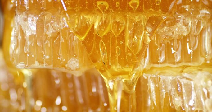 Drops of fresh honey slowly flow down. Macro background.