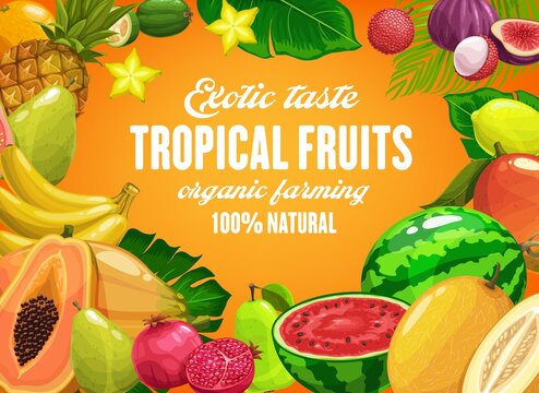 Tropical Fruits Vector Pineapple, Mango And Banana, Pomegranate And Pear. Watermelon, Guava, Figs And Carambola, Lime, Lemon And Melon. Natural Ripe Fresh Fruits, Organic Farming Cartoon Poster