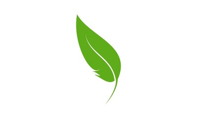 Fototapeta premium Green leaf illustration vector