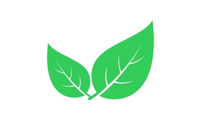 Green leaf vector