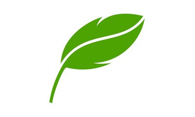 Leaf illustration vector
