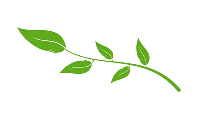 Leaf plant illustration vector