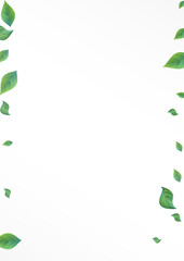 Green Leaves Realistic Vector White Background 
