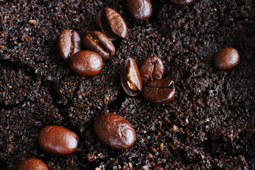 A close up image of a used paper coffee filter, dark coffee grounds, and coffee beans. 