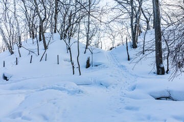 雪道の足跡