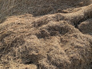 Haystack background