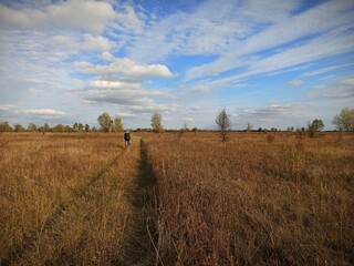 field and sky