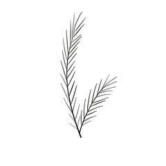 leaf vector aesthetic