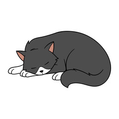 Cartoon Curled Up Cat Illustration