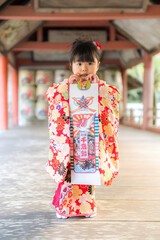 七五三のお参り 神社参拝