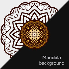 luxury ornamental mandala design background. vector illustration