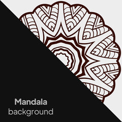 luxury ornamental mandala design background. vector illustration