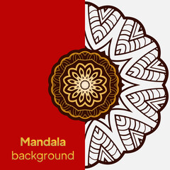 Luxury mandala background design. Vector illustration