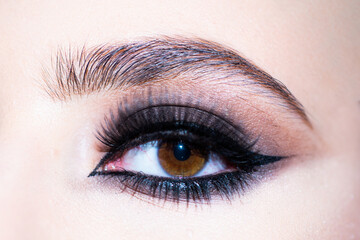 Make up eyes. Closeup of beautiful womanish eye.