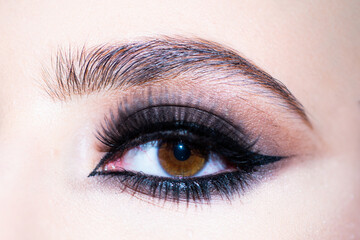 Obraz premium Make up eyes. Closeup of beautiful womanish eye.