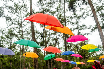 Fototapeta na wymiar Colorful umbrellas hanging outdoor garden decorative concept
