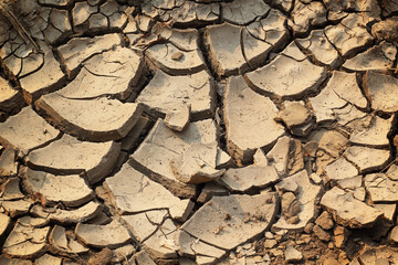 cracked earth