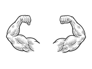 Muscular hands arms of strong man bodybuilder sketch engraving vector illustration. T-shirt apparel print design. Scratch board imitation. Black and white hand drawn image.
