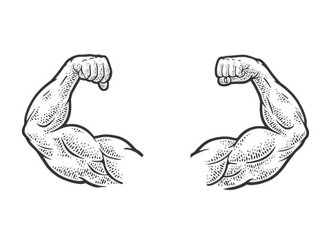 Muscular hands arms of strong man bodybuilder sketch engraving vector illustration. T-shirt apparel print design. Scratch board imitation. Black and white hand drawn image.