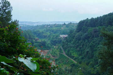 view from the mountain
