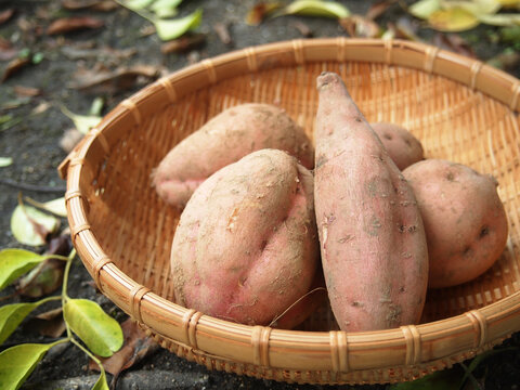 Anno Sweet Potato, Japanese Vegetables