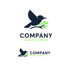 bird logo design vector
