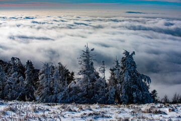 Snowy landscape, Snow mountains. Winter in the forest.