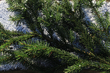 Obraz premium Ð¡hristmas background for postcards, web site design, advertising, made of.snow and tree branches